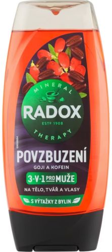 Radox sprchový gel Men 3v1 Povzbuzení Goji a Kofein 225 ml